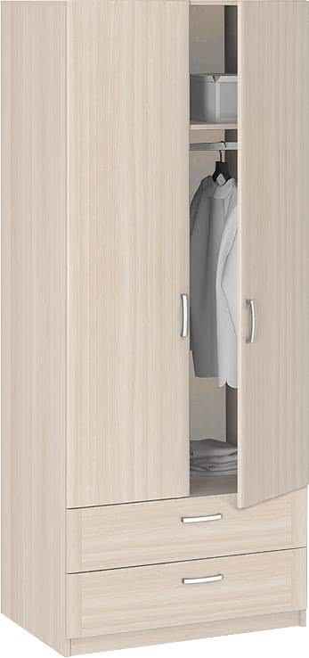 Шкаф для одежды 2-х дверный Боровичи Лотос АРТ-5.28