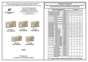 ����� ������ ��-1011 � ���������� �� ������