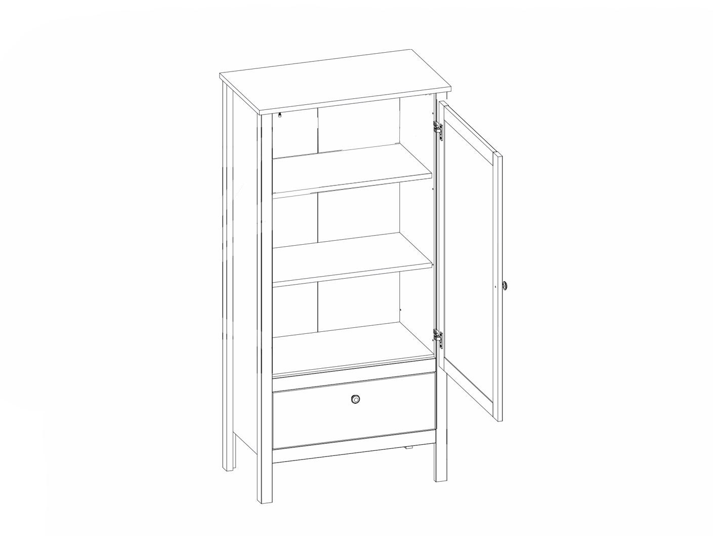 ���� ��������� ������ REG1D1S