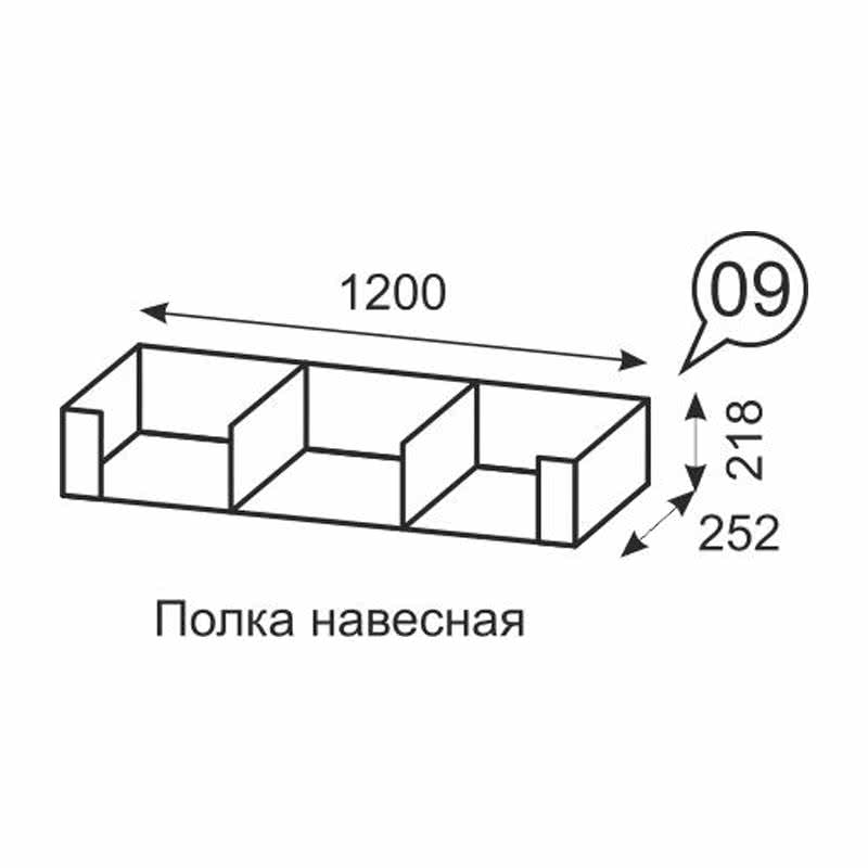 ����� �������� 09 �������� �����