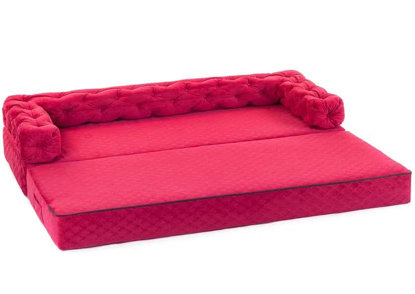 ����� ������ �������