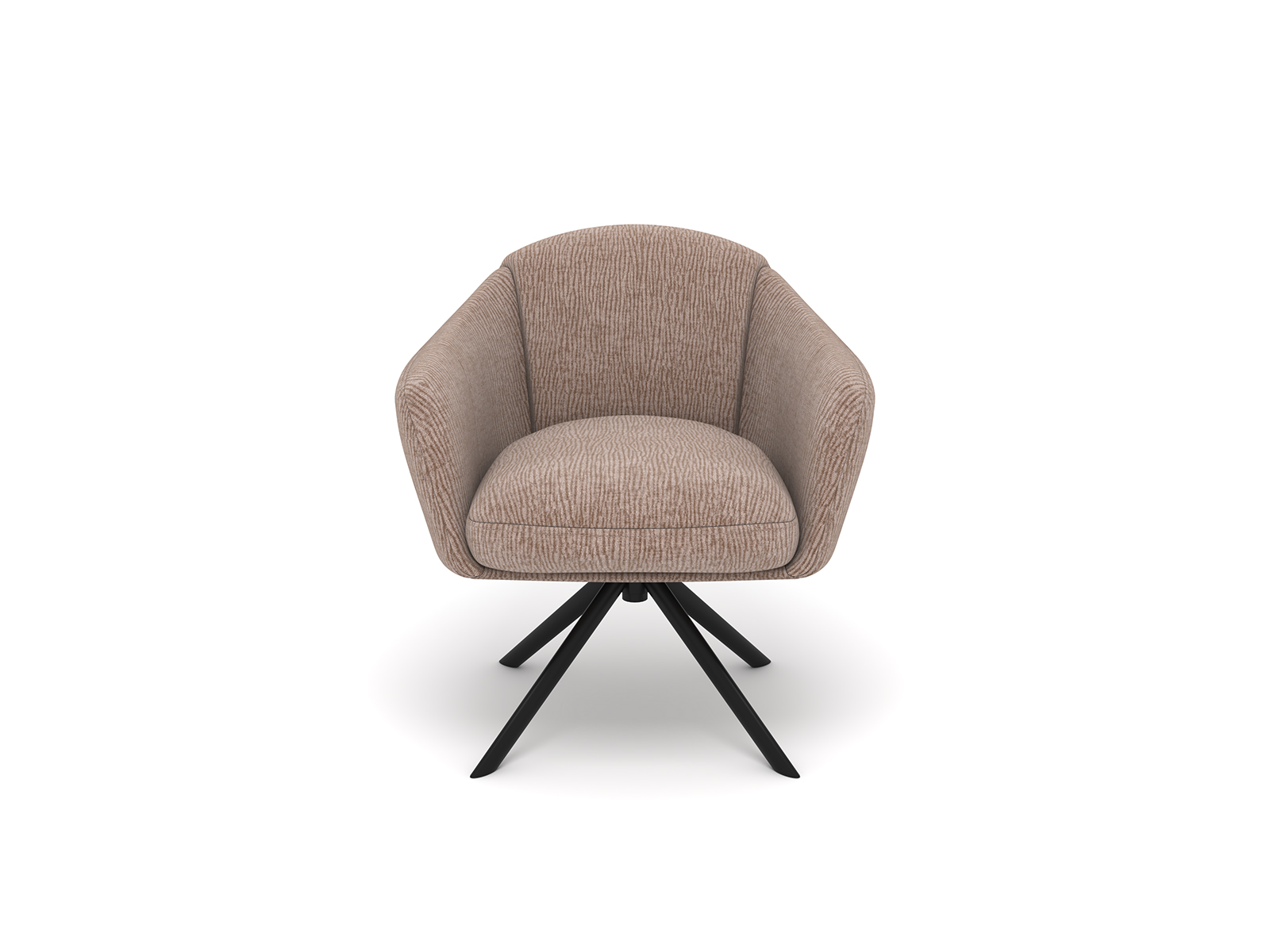 ������ �����