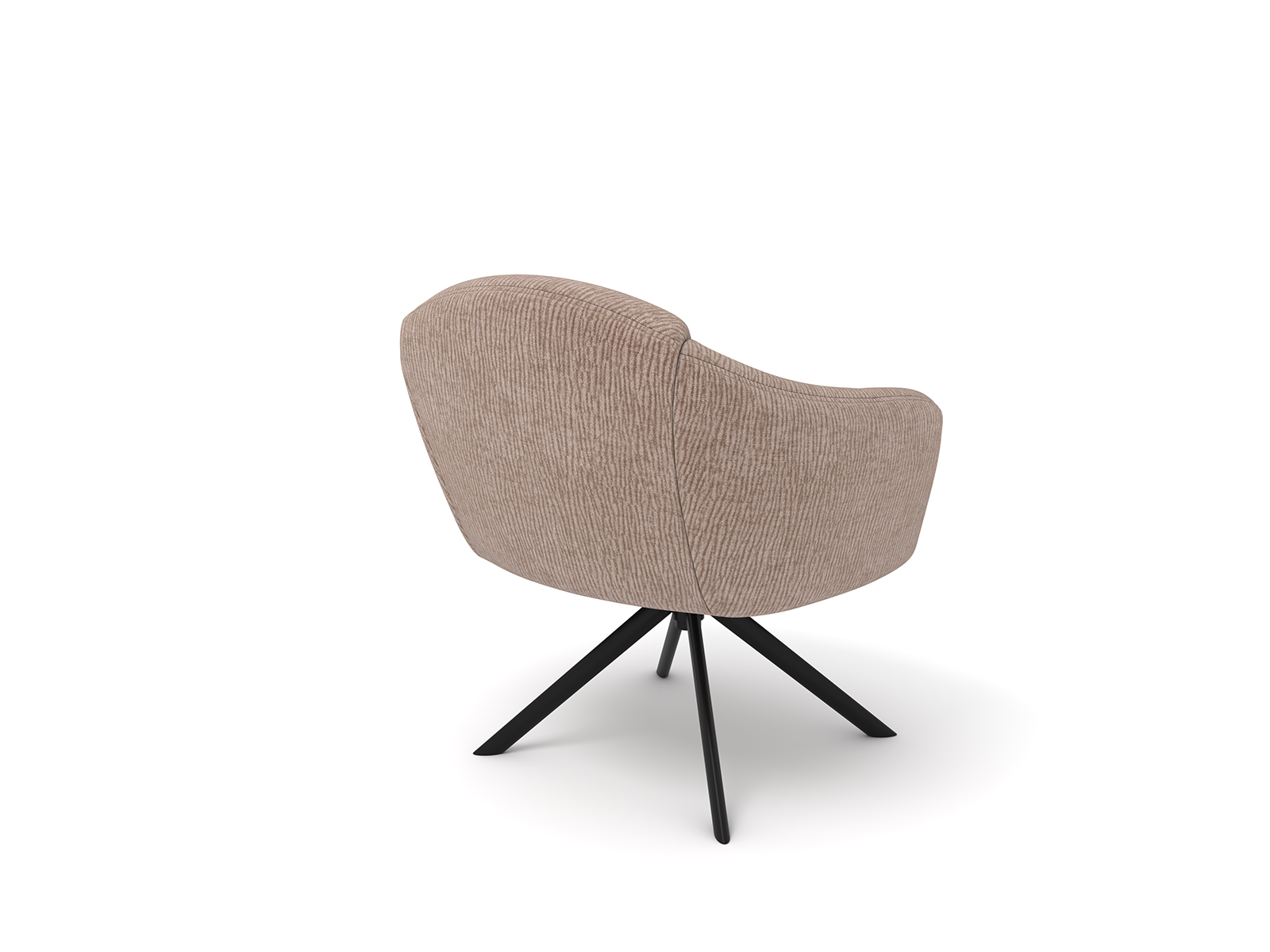 ������ �����