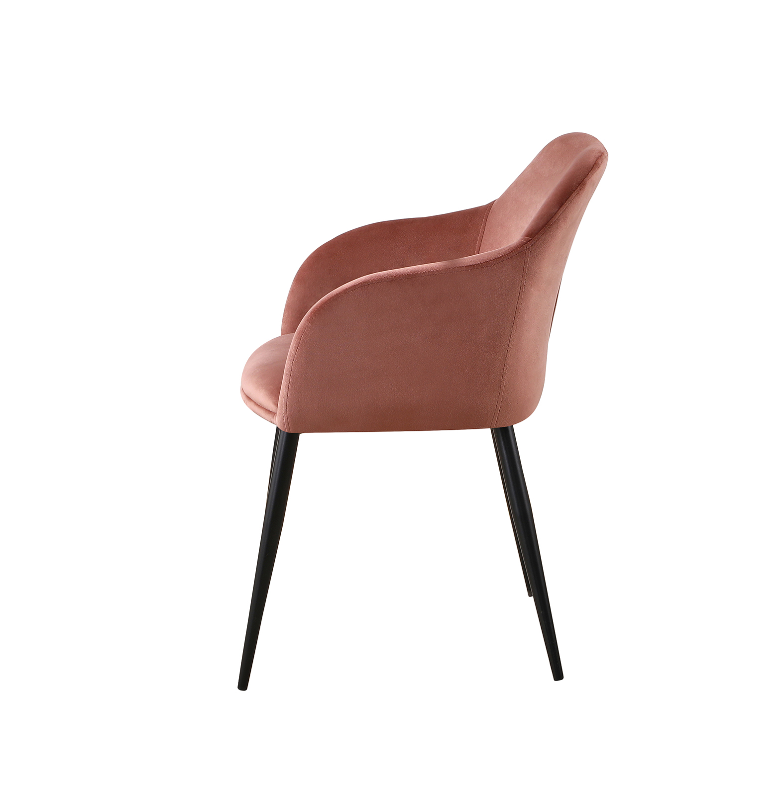 ���� ����