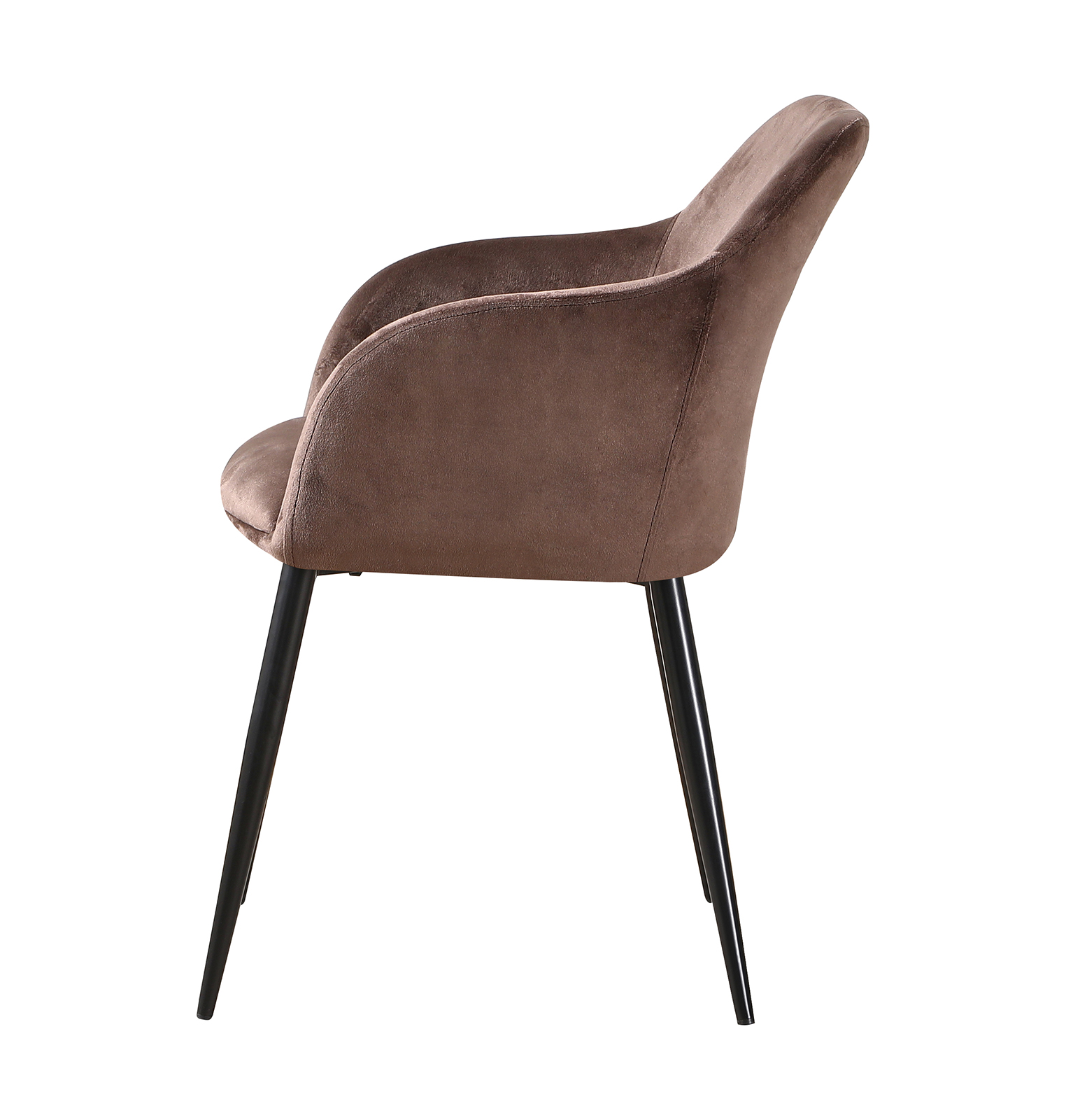 ���� ����