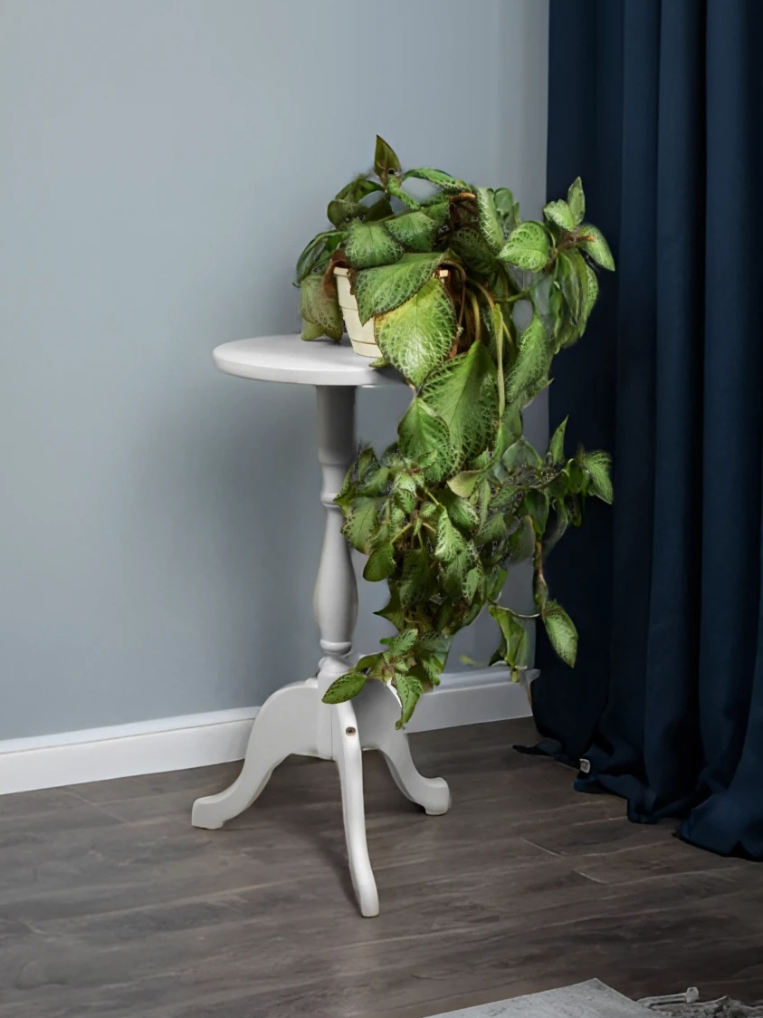 ��������� ��� ����� ��������� ������� �2 �����