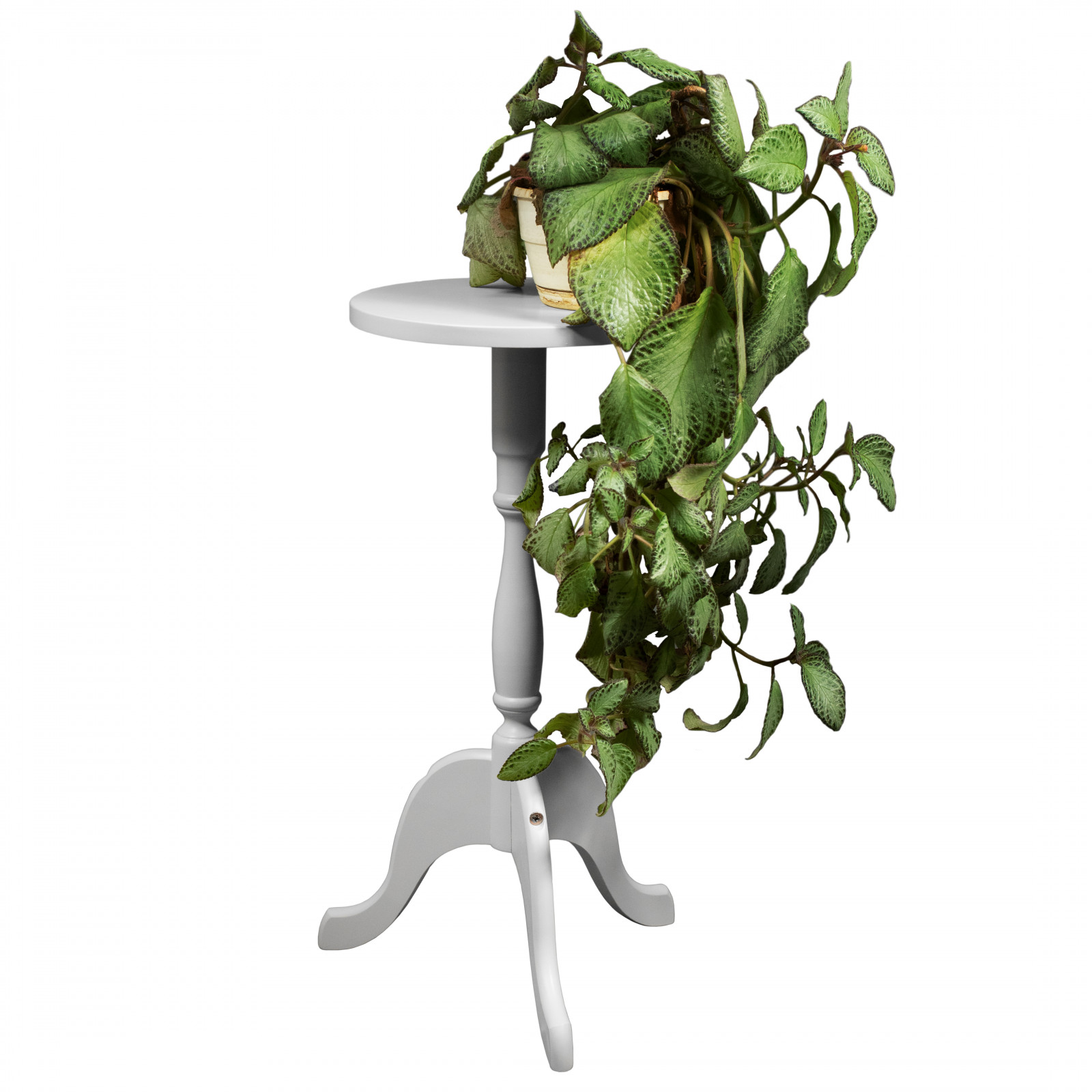 ��������� ��� ����� ��������� ������� �2 �����