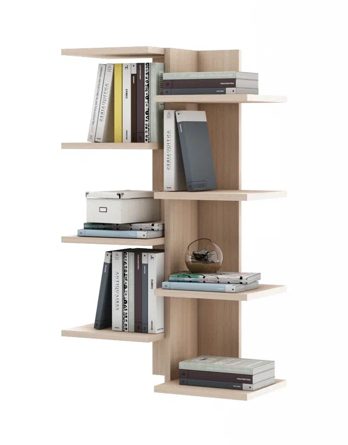 ����� ��� �����-3