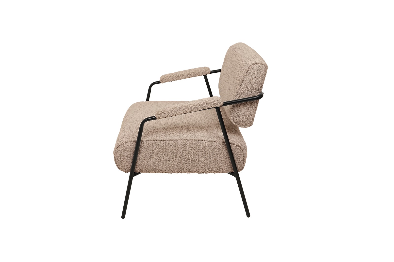 ������ ����