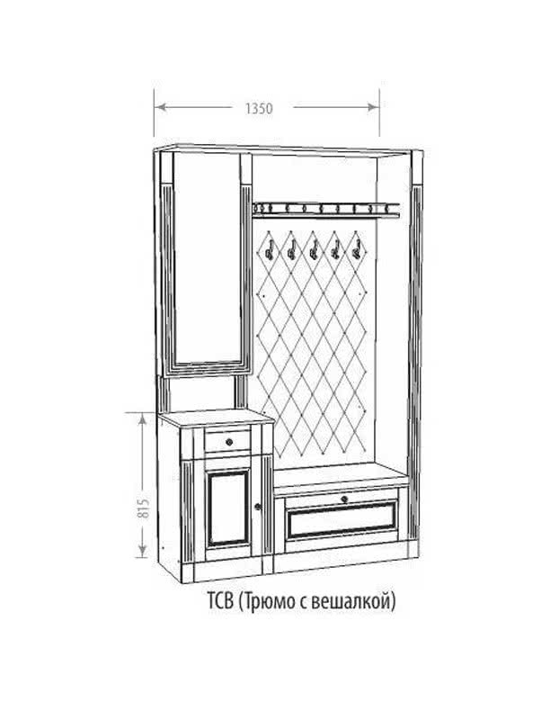 �������� ����� �������� �5