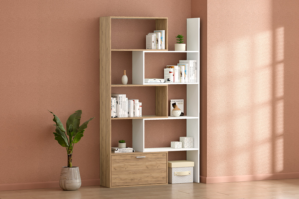 ������� ���� ����������