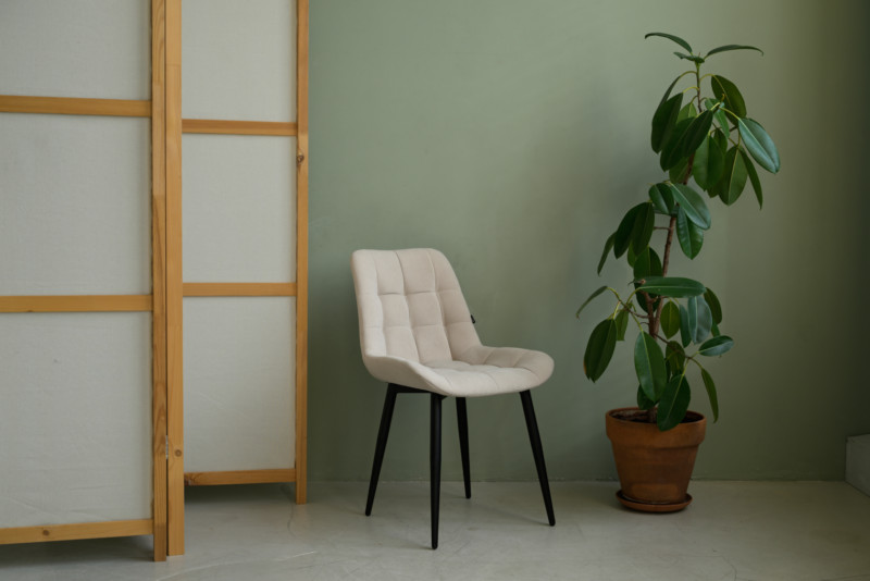 ���� ��� ��������� (2 ��)