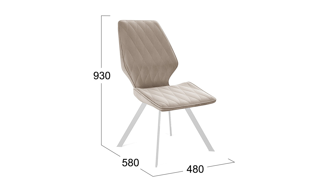 ���� ���� �����