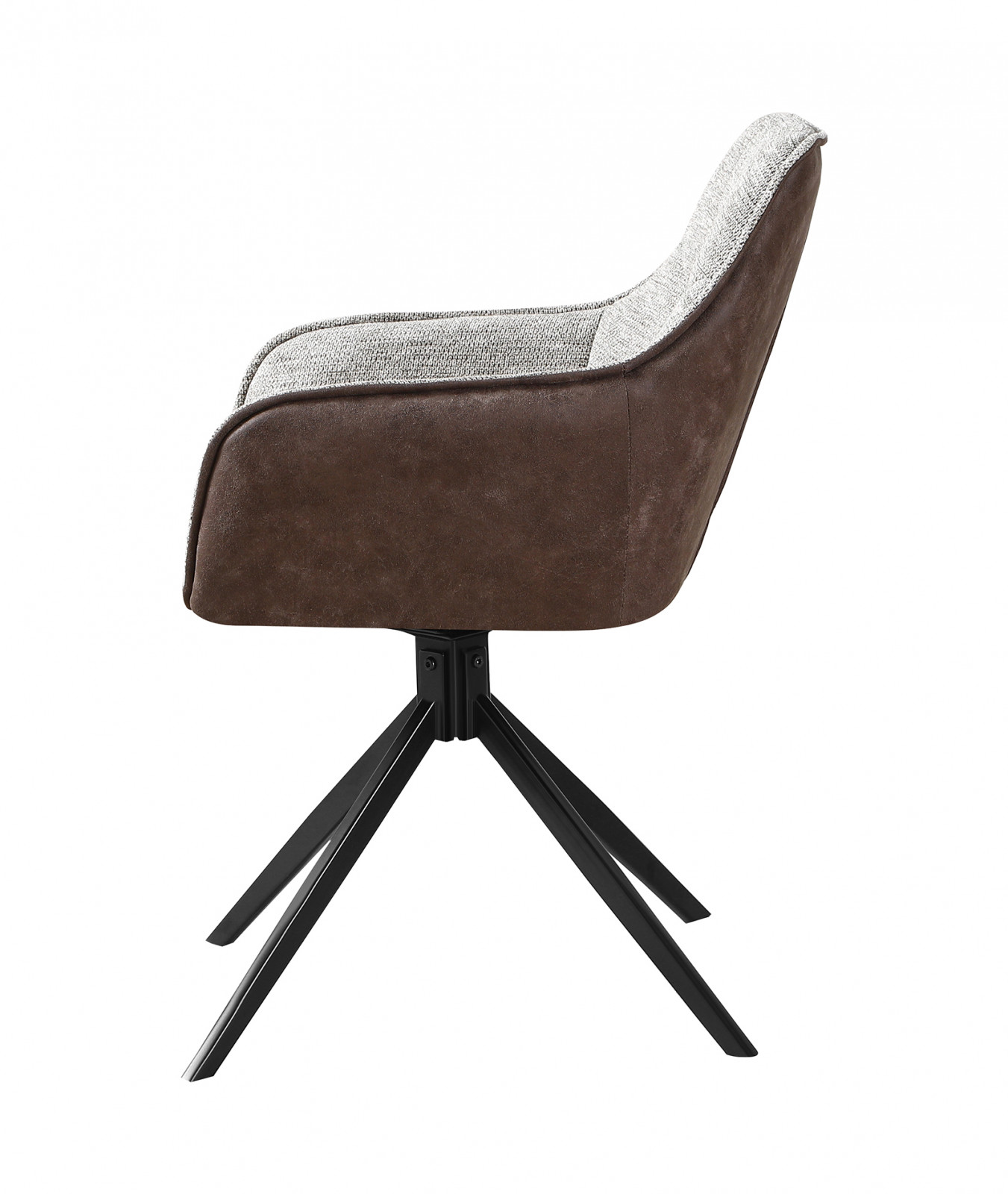 ���� �����