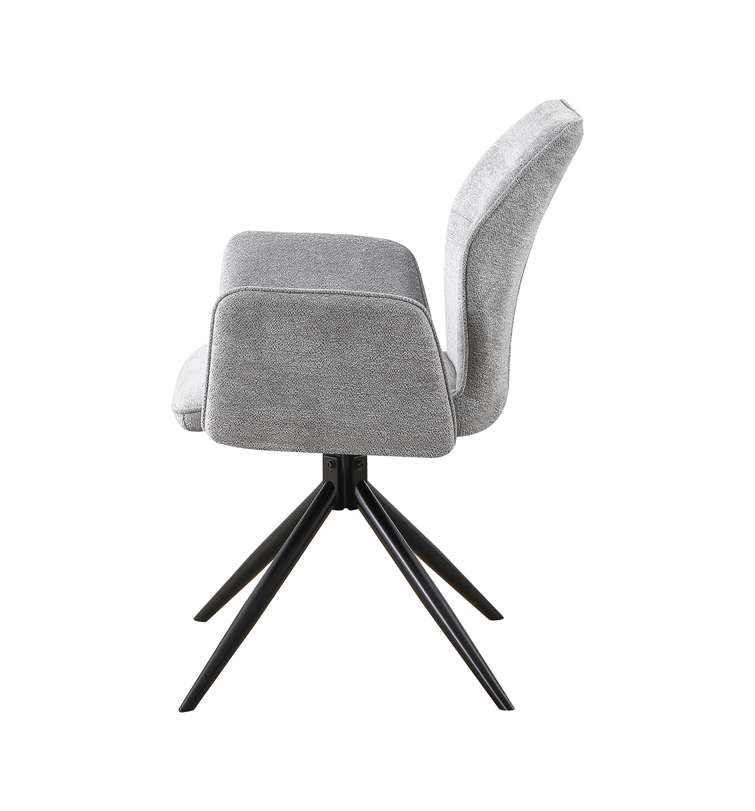 ���� �����